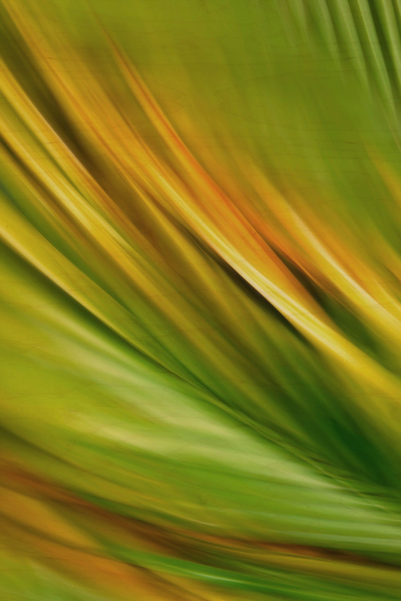 Static and Motion, 2009-10-04-0465