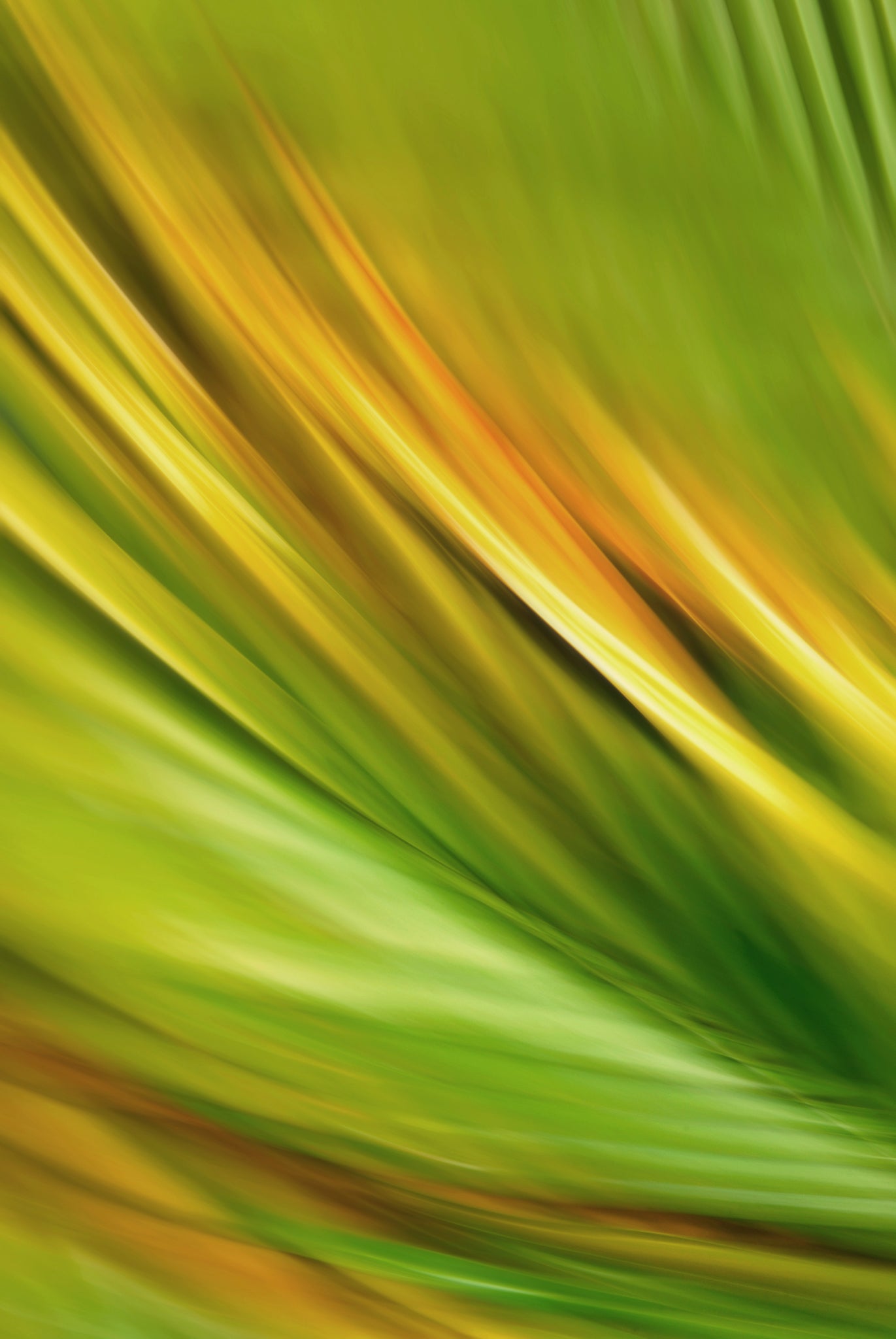 Static and Motion, 2009-10-04-0465