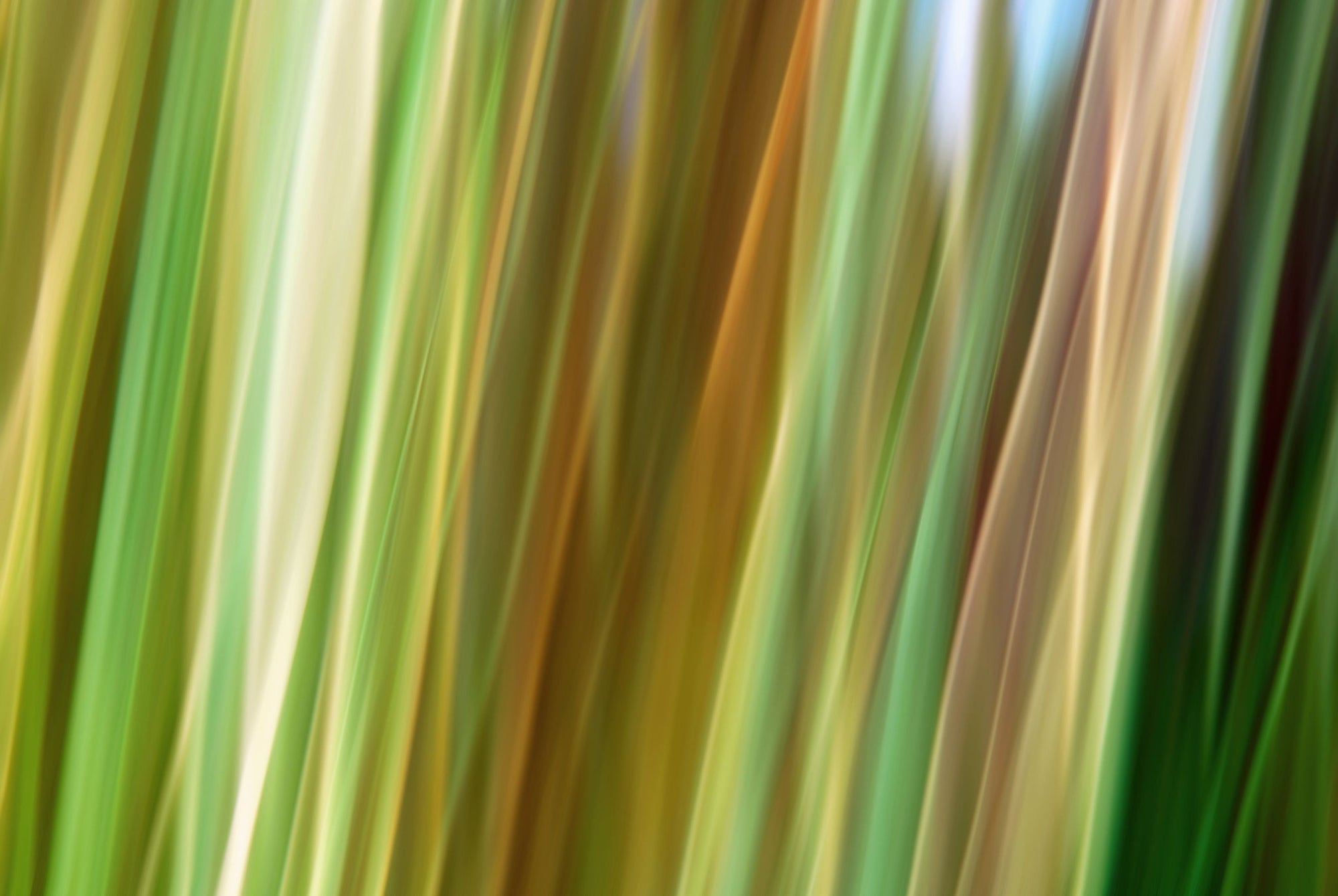 Static and Motion, 2009-10-04-0484
