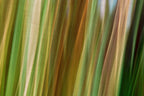 Static and Motion, 2009-10-04-0484