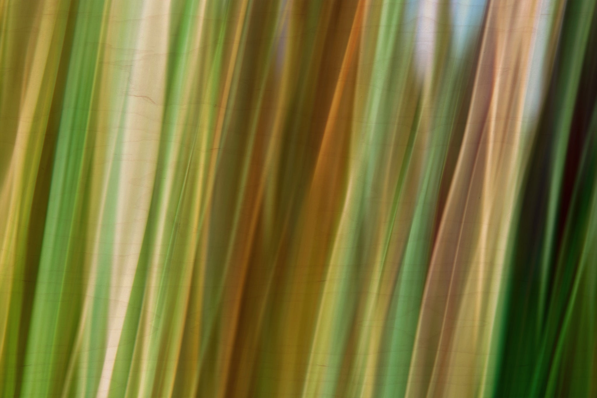 Static and Motion, 2009-10-04-0484
