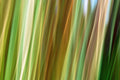 Static and Motion, 2009-10-04-0484