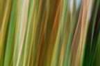 Static and Motion, 2009-10-04-0484