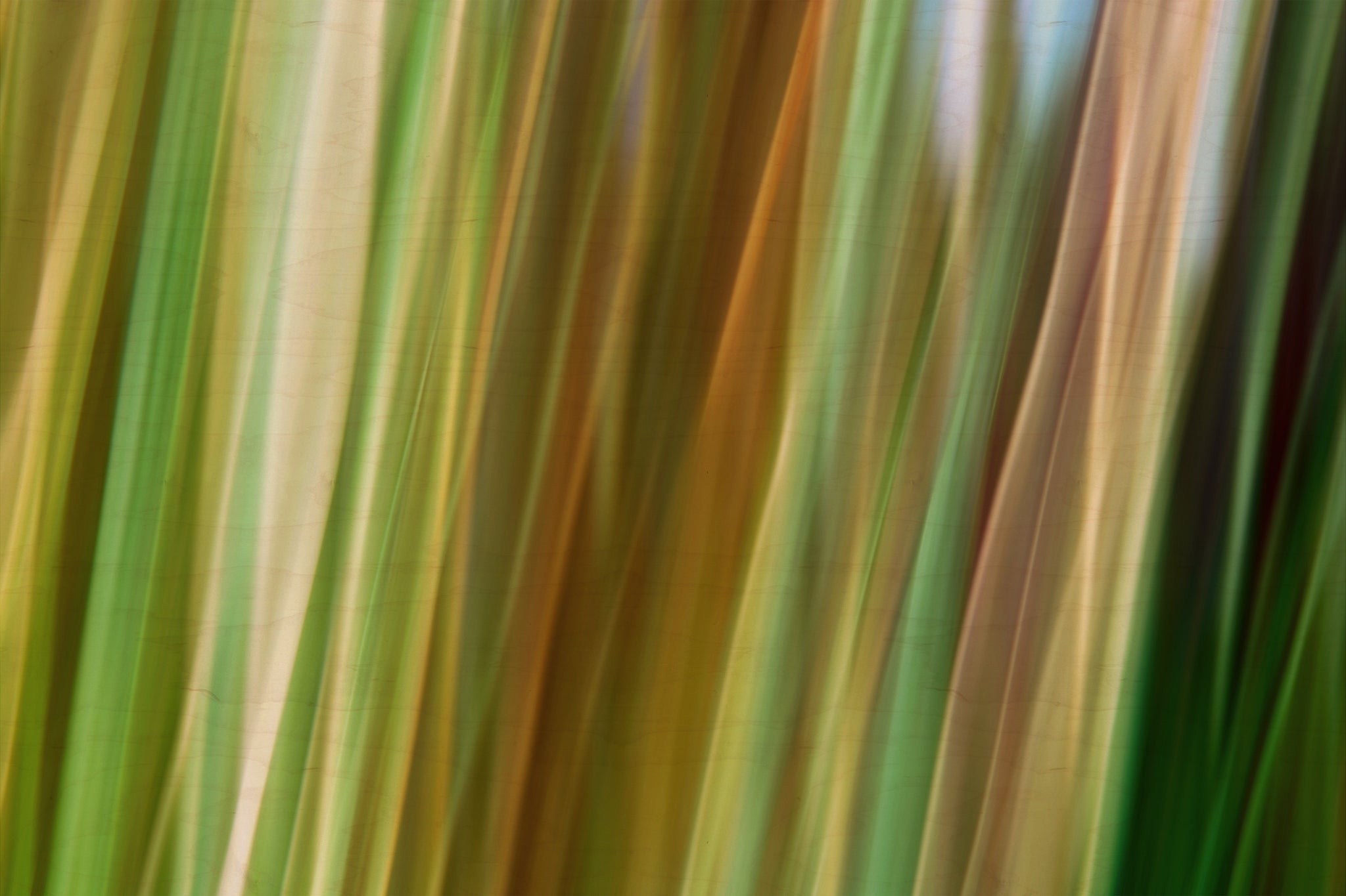Static and Motion, 2009-10-04-0484