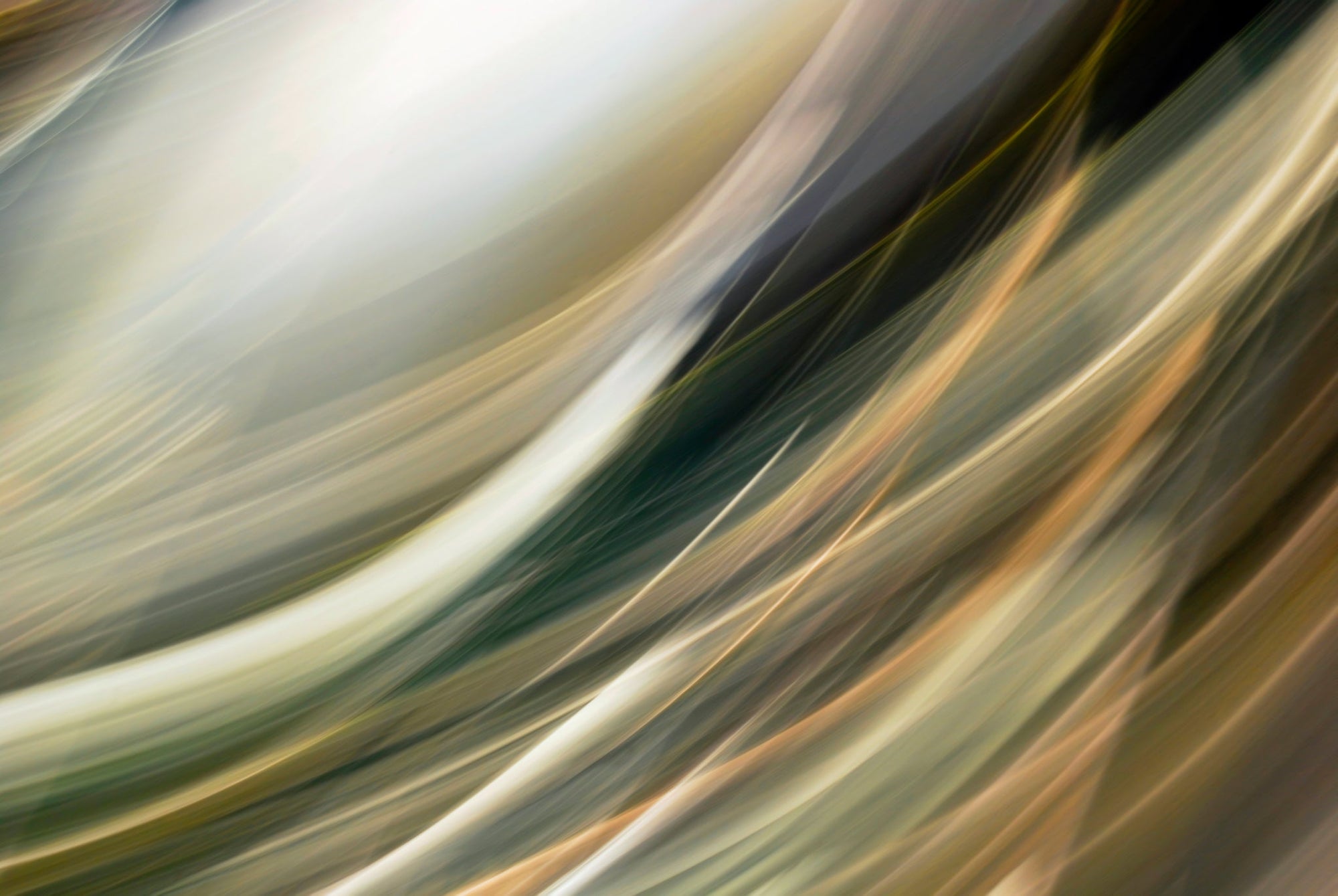 Static and Motion, 2009-10-10-0035