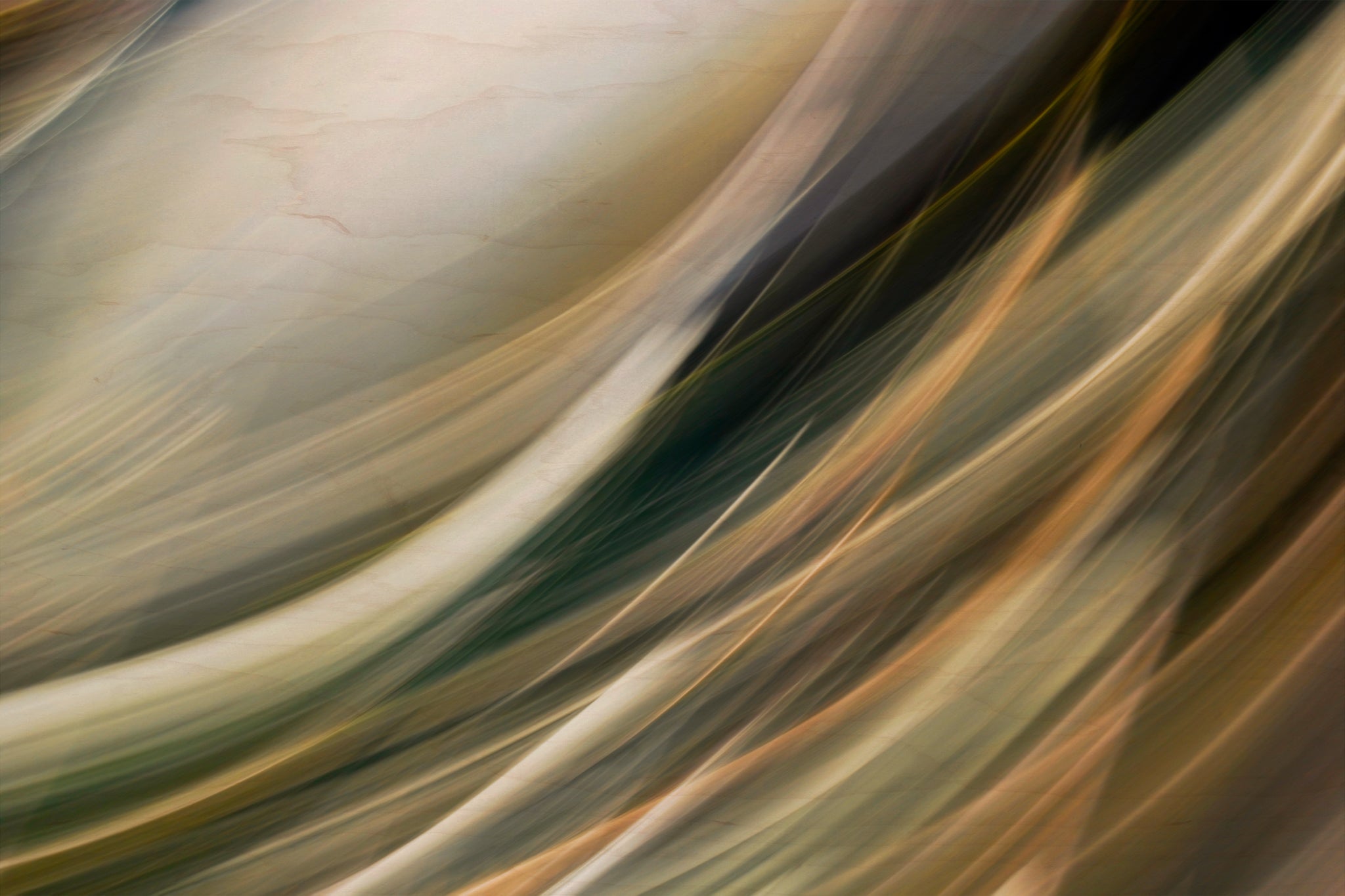 Static and Motion, 2009-10-10-0035