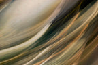 Static and Motion, 2009-10-10-0035