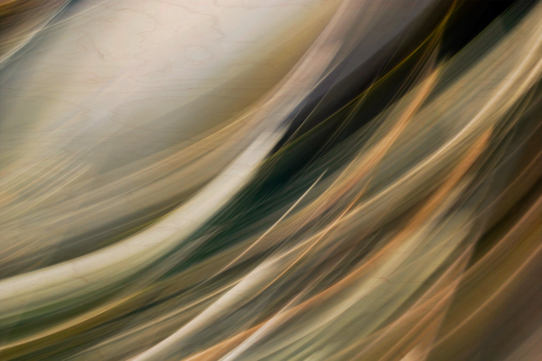 Static and Motion, 2009-10-10-0035