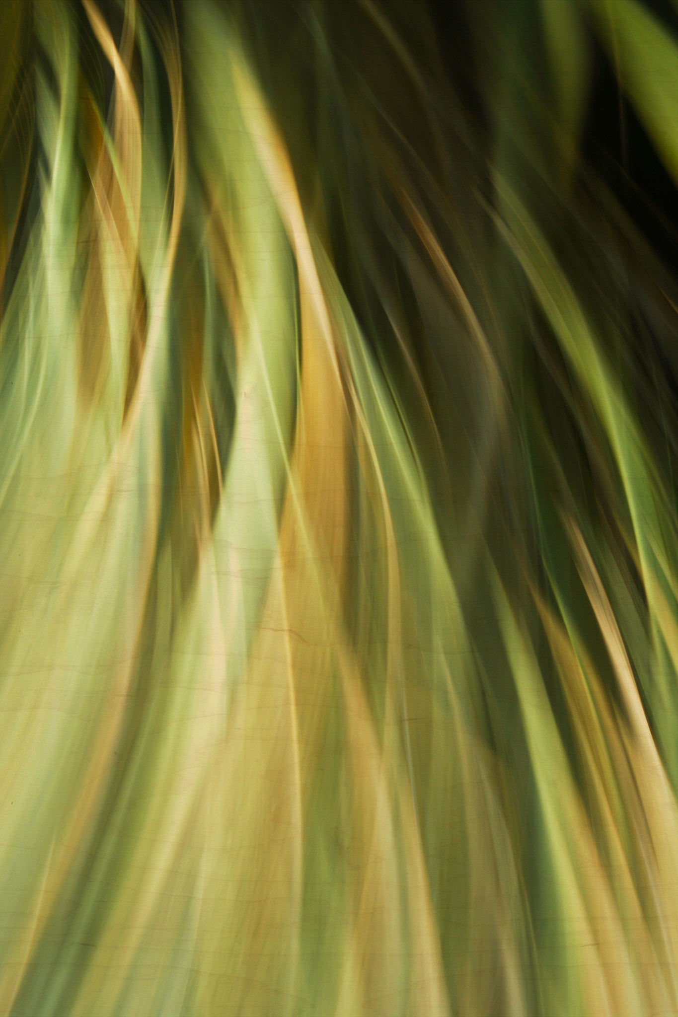 Static and Motion, 2009-10-10-0062