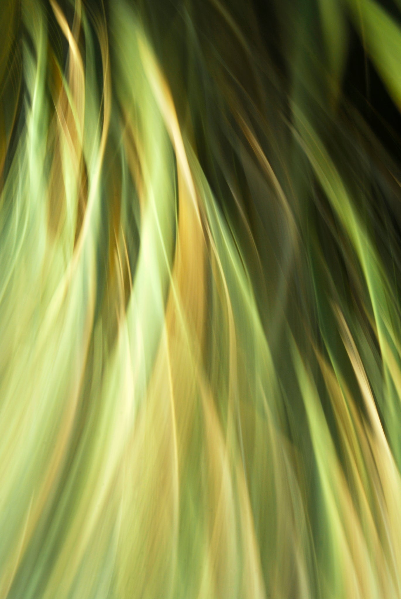 Static and Motion, 2009-10-10-0062