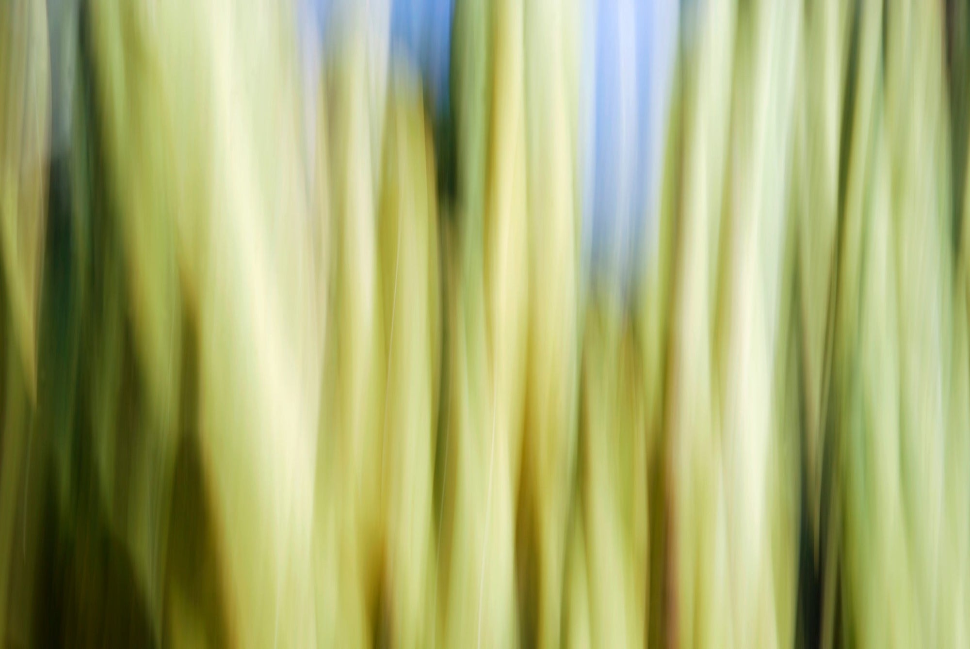Static and Motion, 2009-10-10-0081