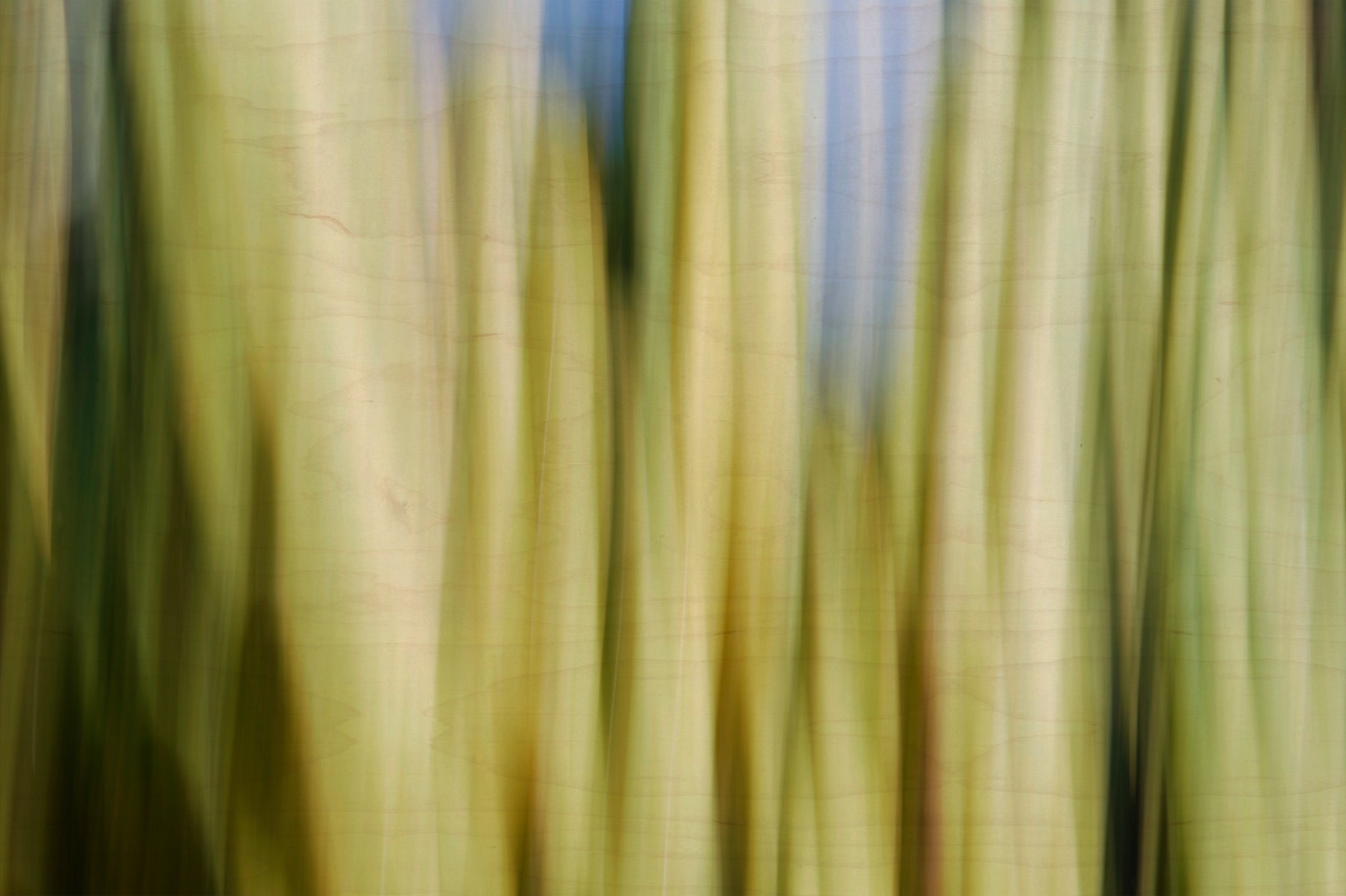 Static and Motion, 2009-10-10-0081