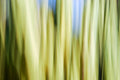 Static and Motion, 2009-10-10-0081
