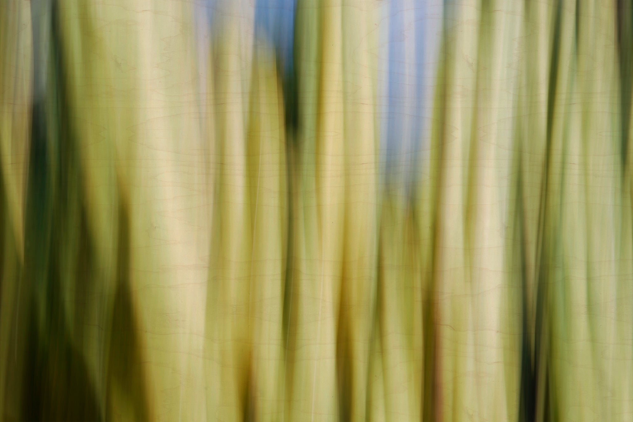Static and Motion, 2009-10-10-0081