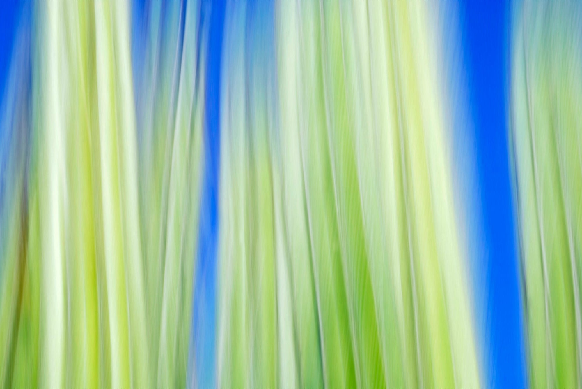 Static and Motion, 2009-10-10-0094