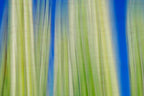 Static and Motion, 2009-10-10-0094