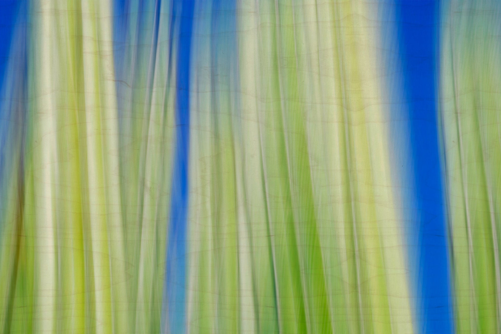 Static and Motion, 2009-10-10-0094