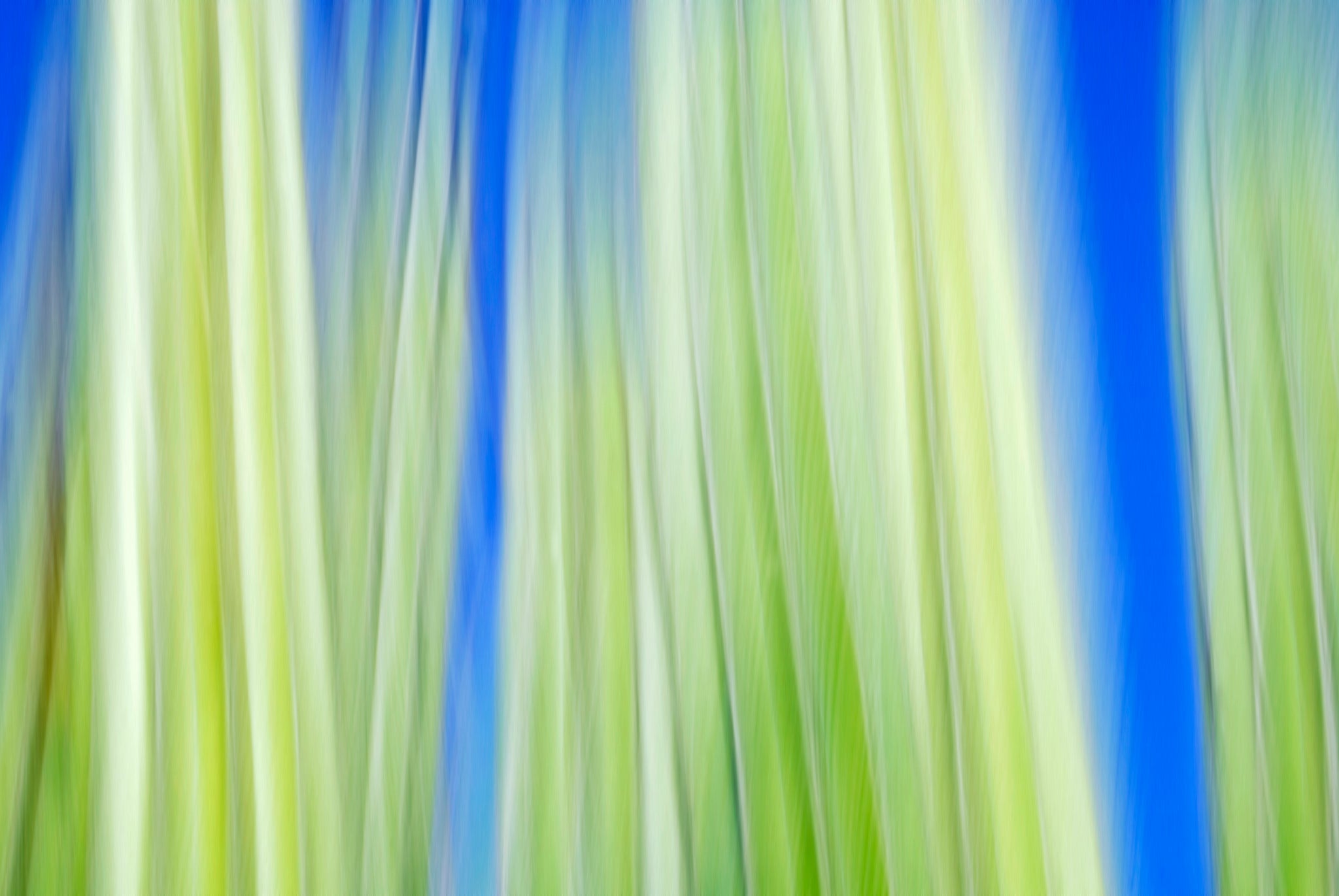 Static and Motion, 2009-10-10-0094