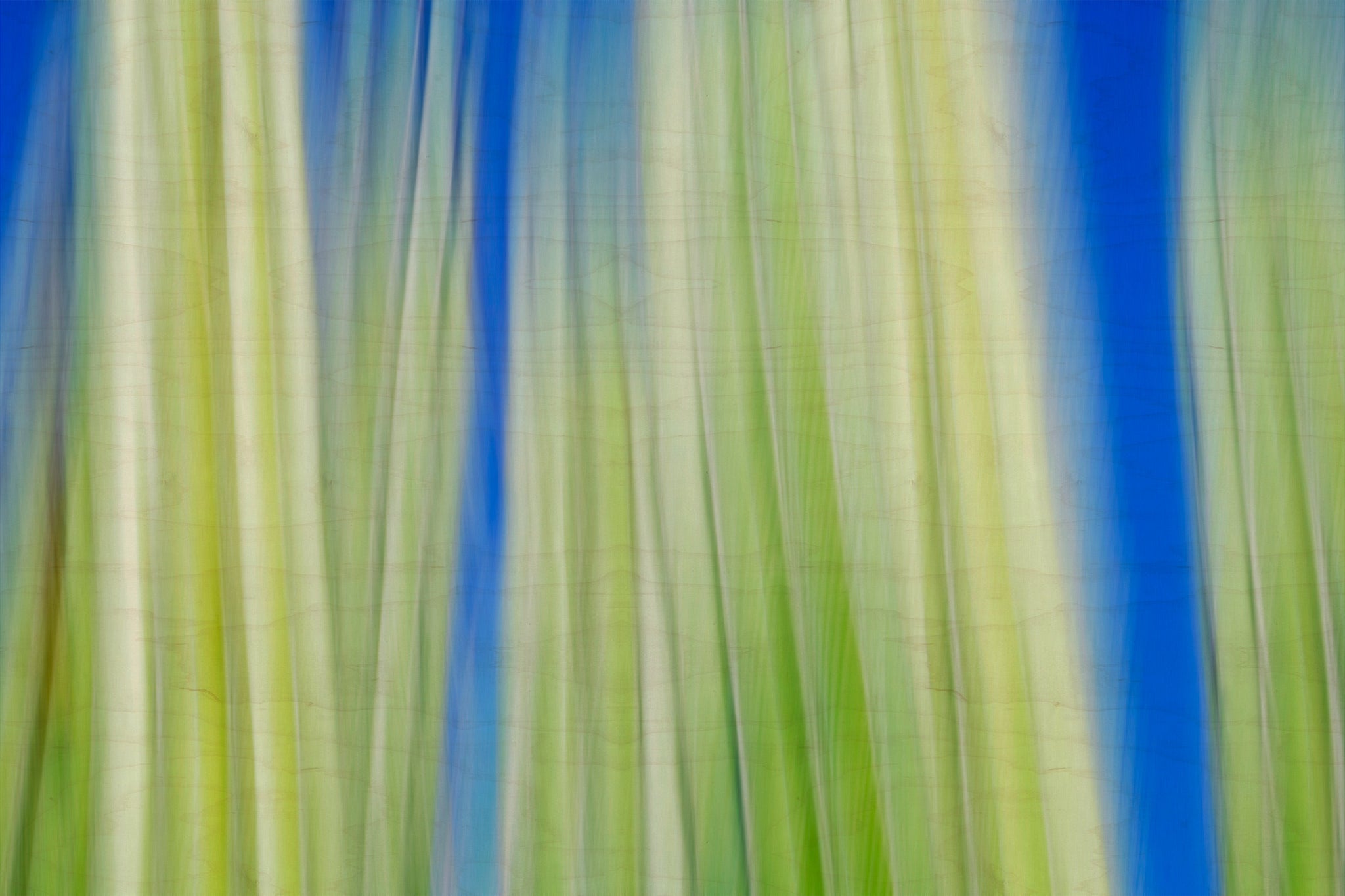 Static and Motion, 2009-10-10-0094