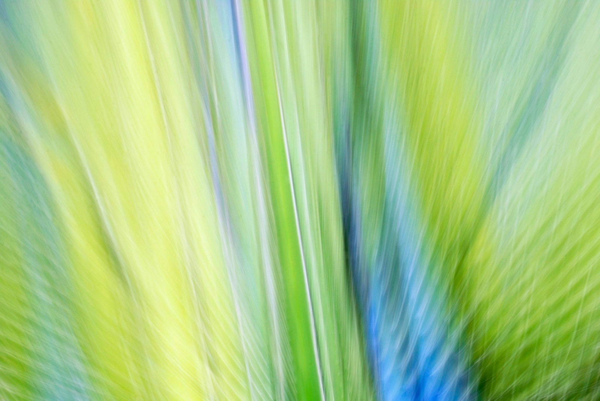 Static and Motion, 2009-10-10-0097