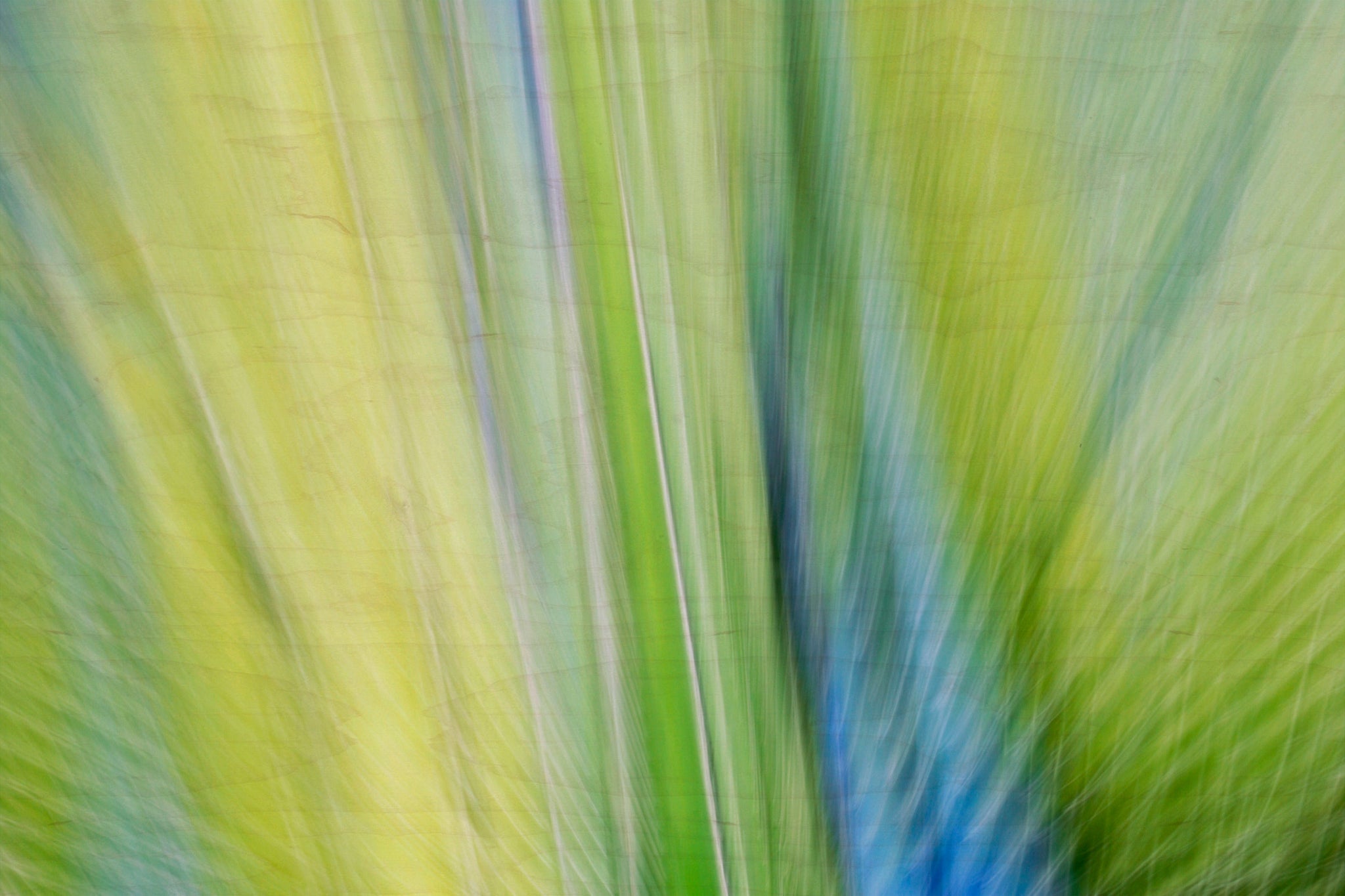 Static and Motion, 2009-10-10-0097