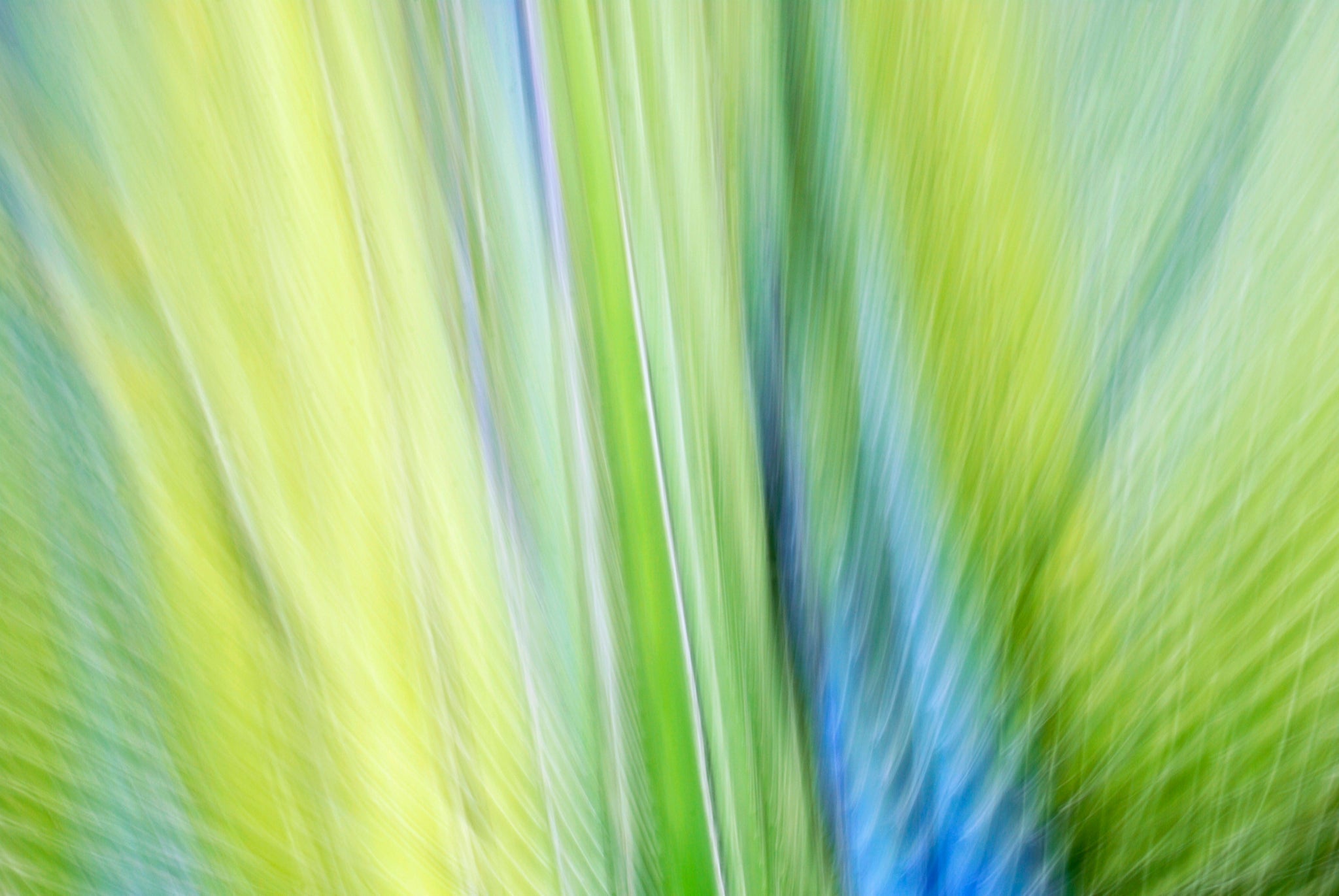 Static and Motion, 2009-10-10-0097