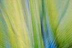 Static and Motion, 2009-10-10-0097