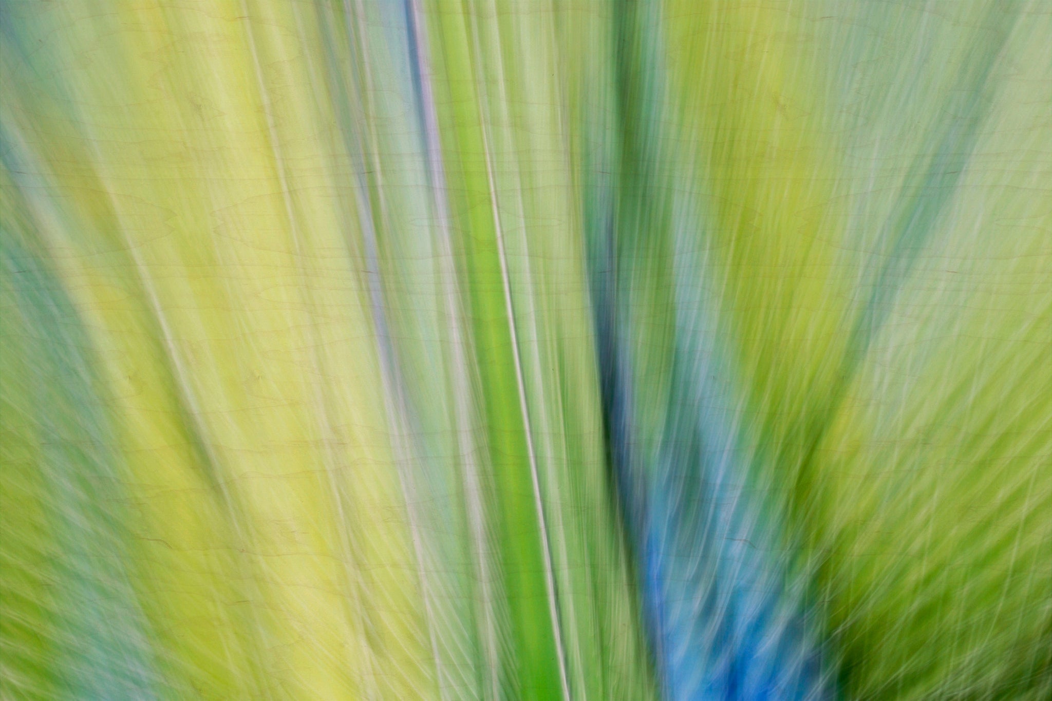Static and Motion, 2009-10-10-0097