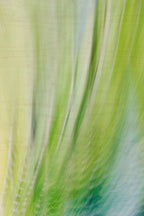 Static and Motion, 2009-10-10-0109