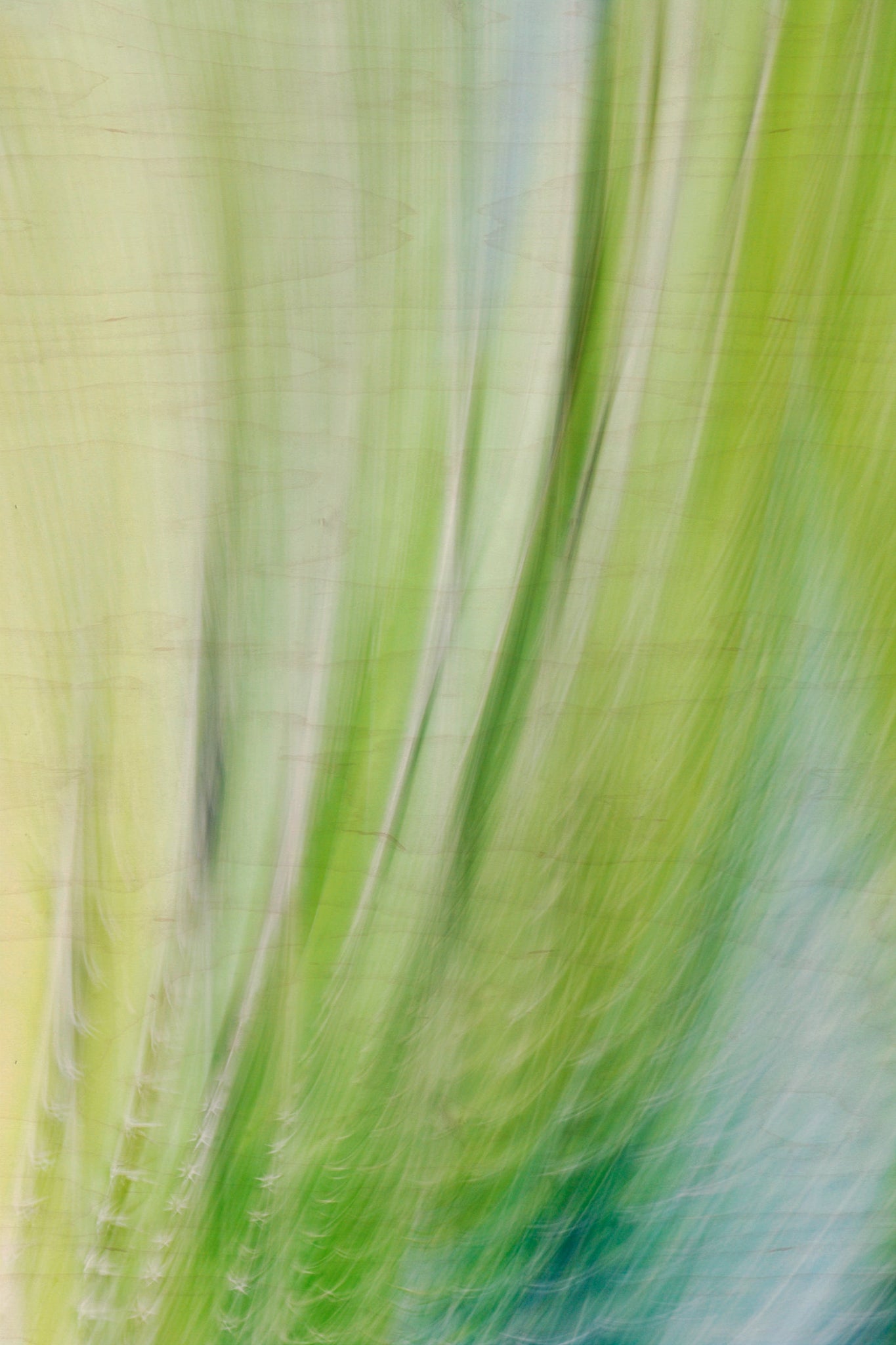 Static and Motion, 2009-10-10-0109