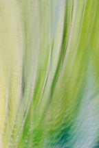 Static and Motion, 2009-10-10-0109
