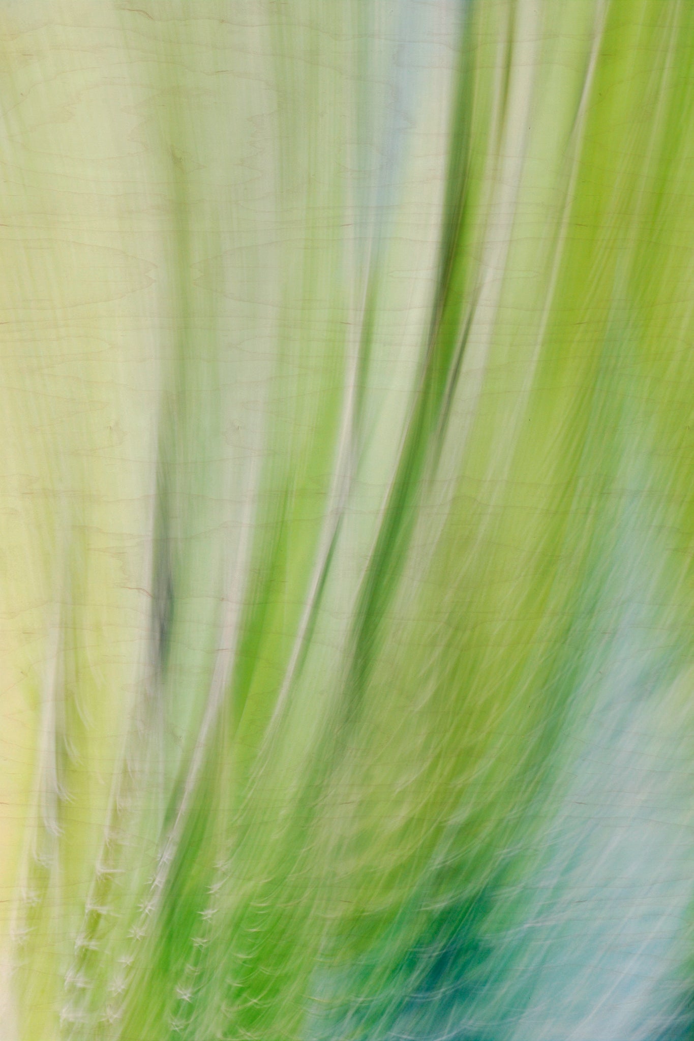 Static and Motion, 2009-10-10-0109