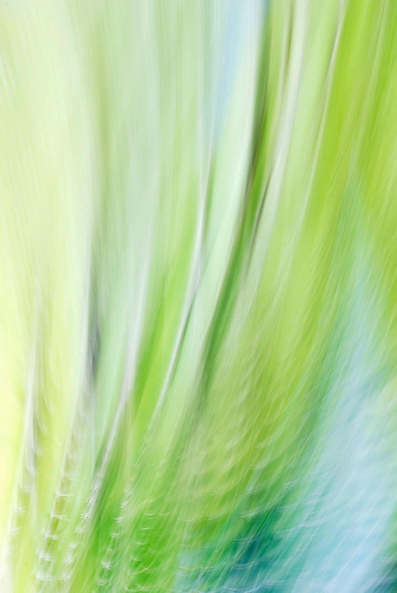 Static and Motion, 2009-10-10-0109