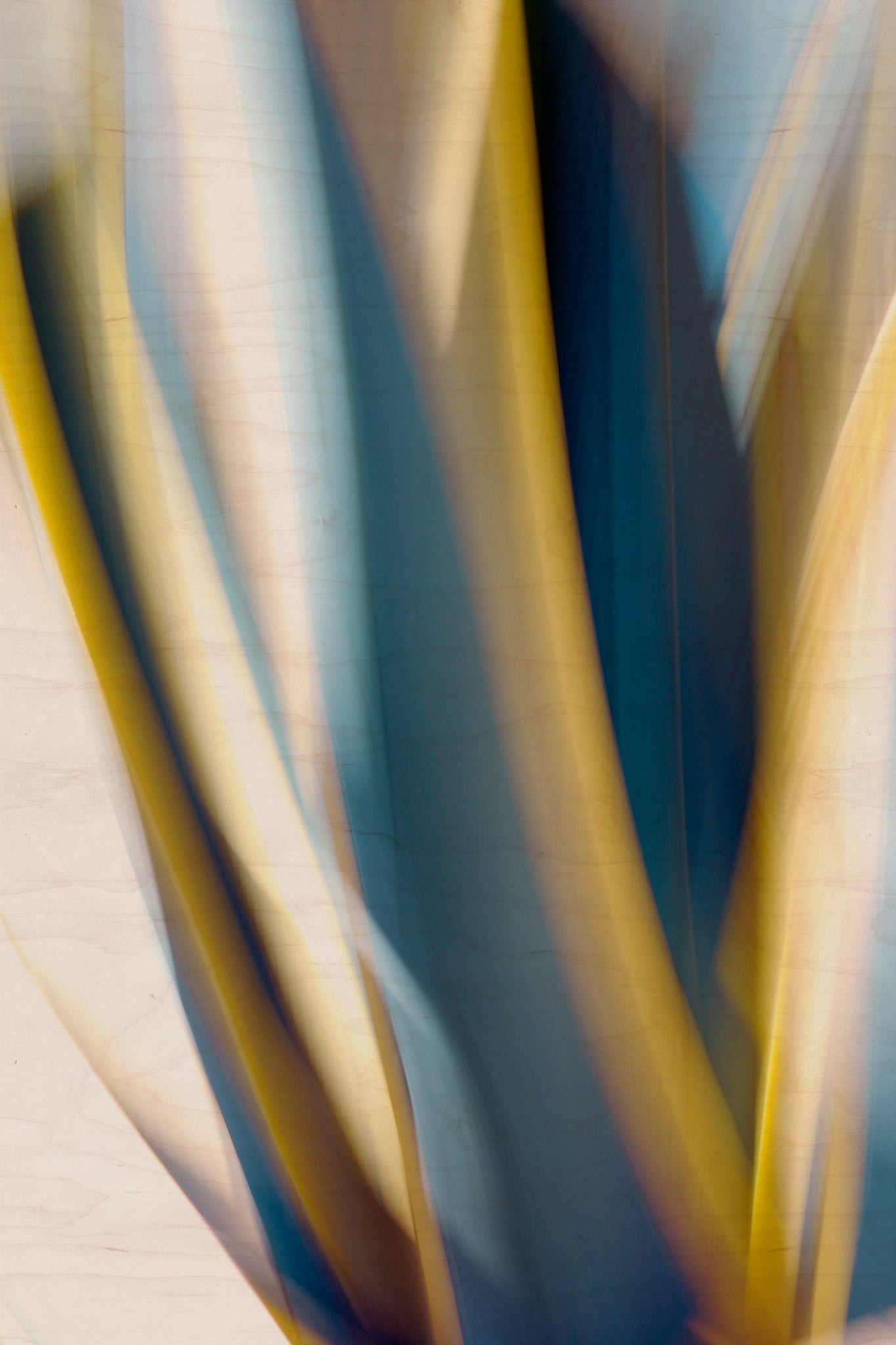 Static and Motion, 2009-10-10-0138