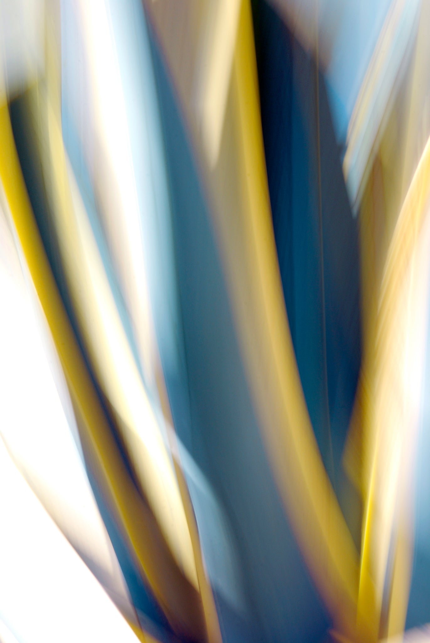 Static and Motion, 2009-10-10-0138