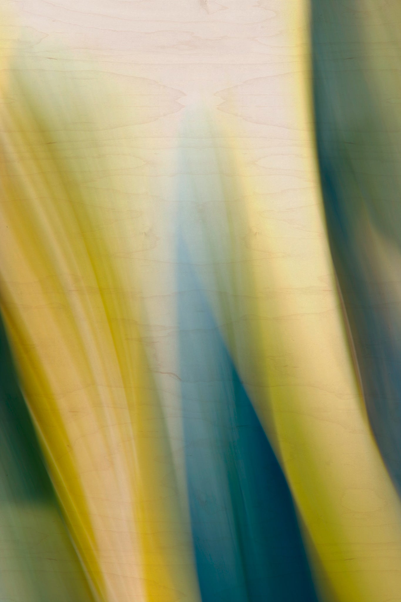 Static and Motion, 2009-10-10-0147