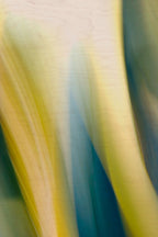 Static and Motion, 2009-10-10-0147