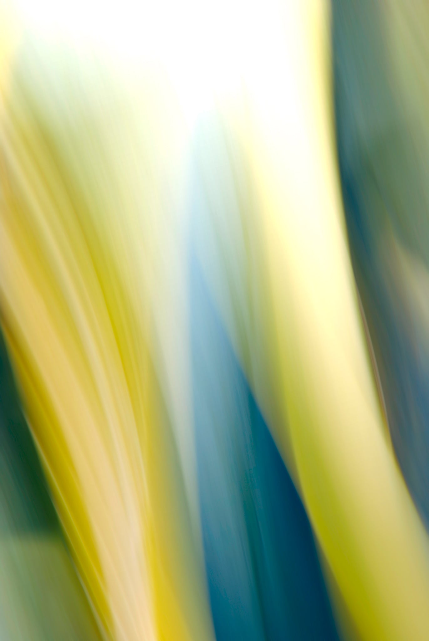 Static and Motion, 2009-10-10-0147
