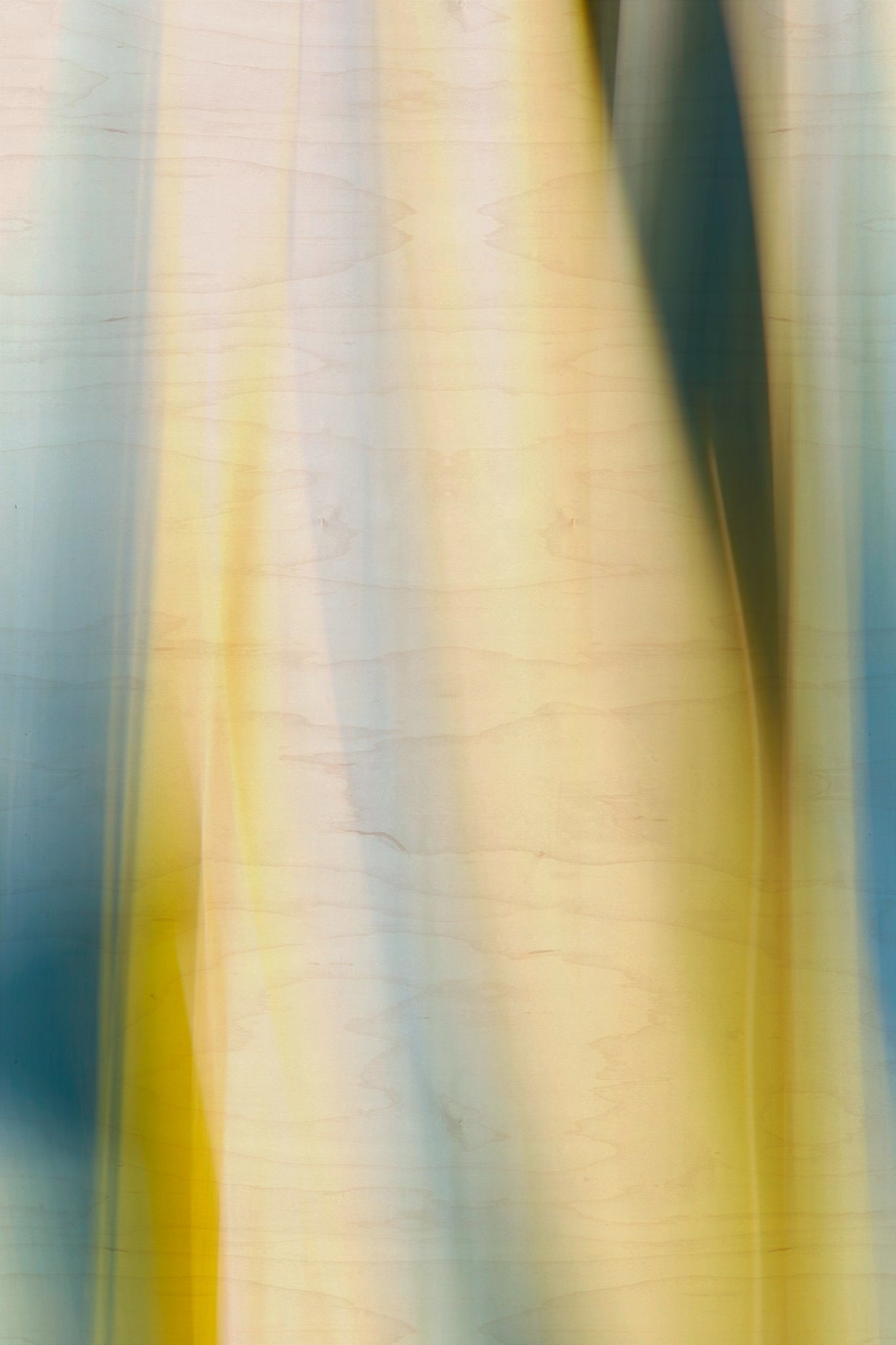 Static and Motion, 2009-10-10-0148
