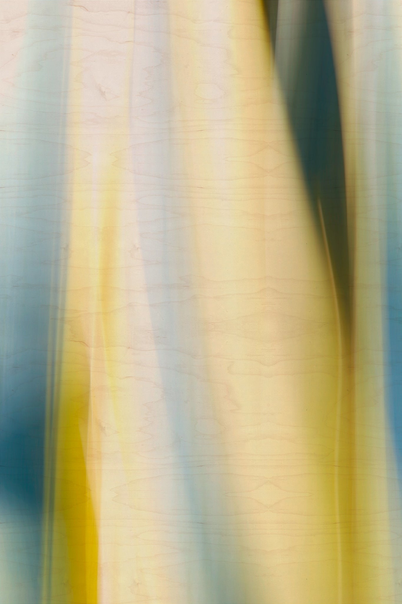 Static and Motion, 2009-10-10-0148