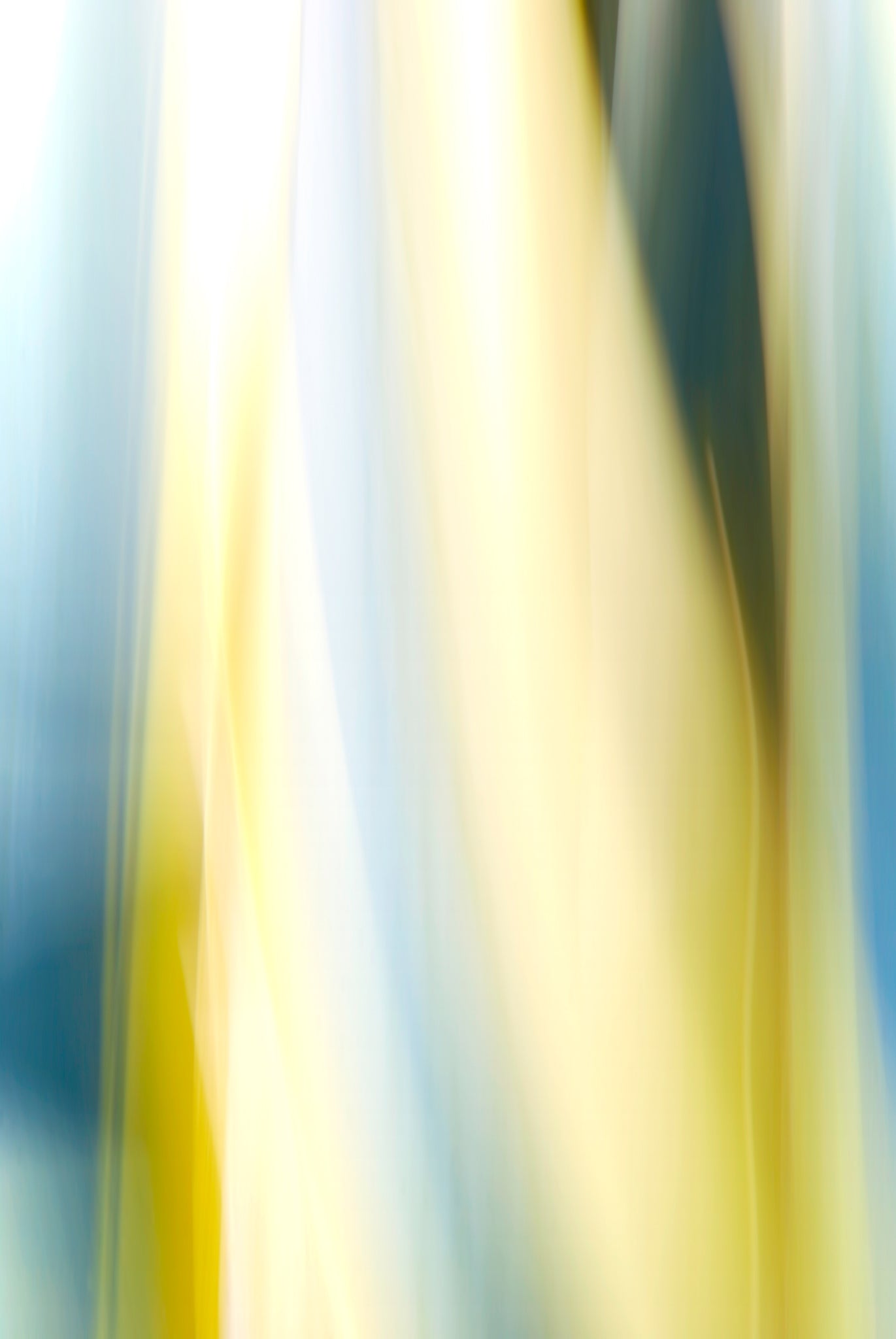 Static and Motion, 2009-10-10-0148