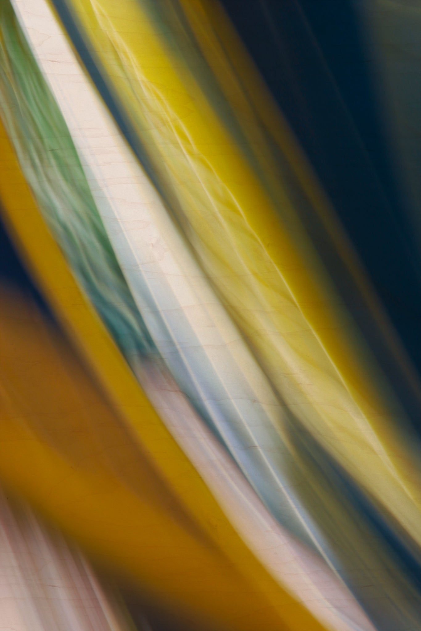 Static and Motion, 2009-10-10-0155