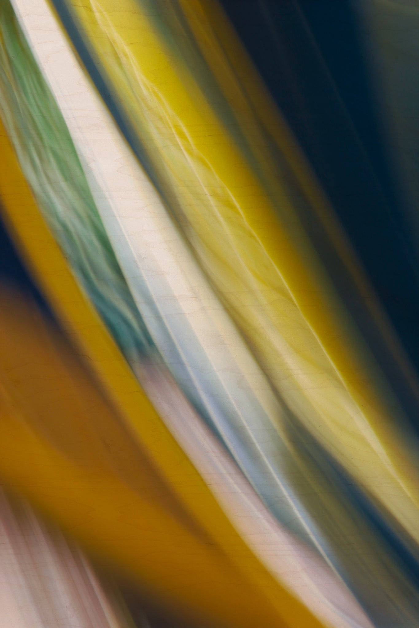 Static and Motion, 2009-10-10-0155