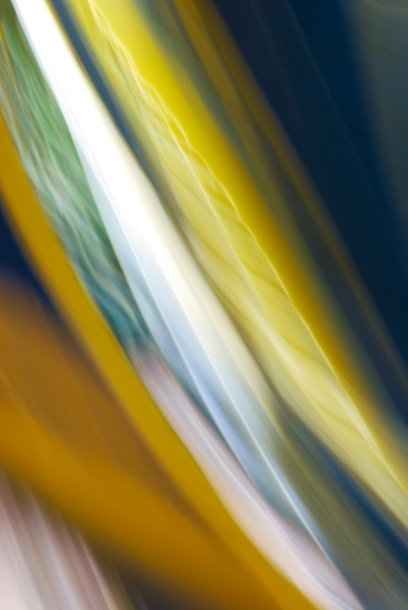 Static and Motion, 2009-10-10-0155