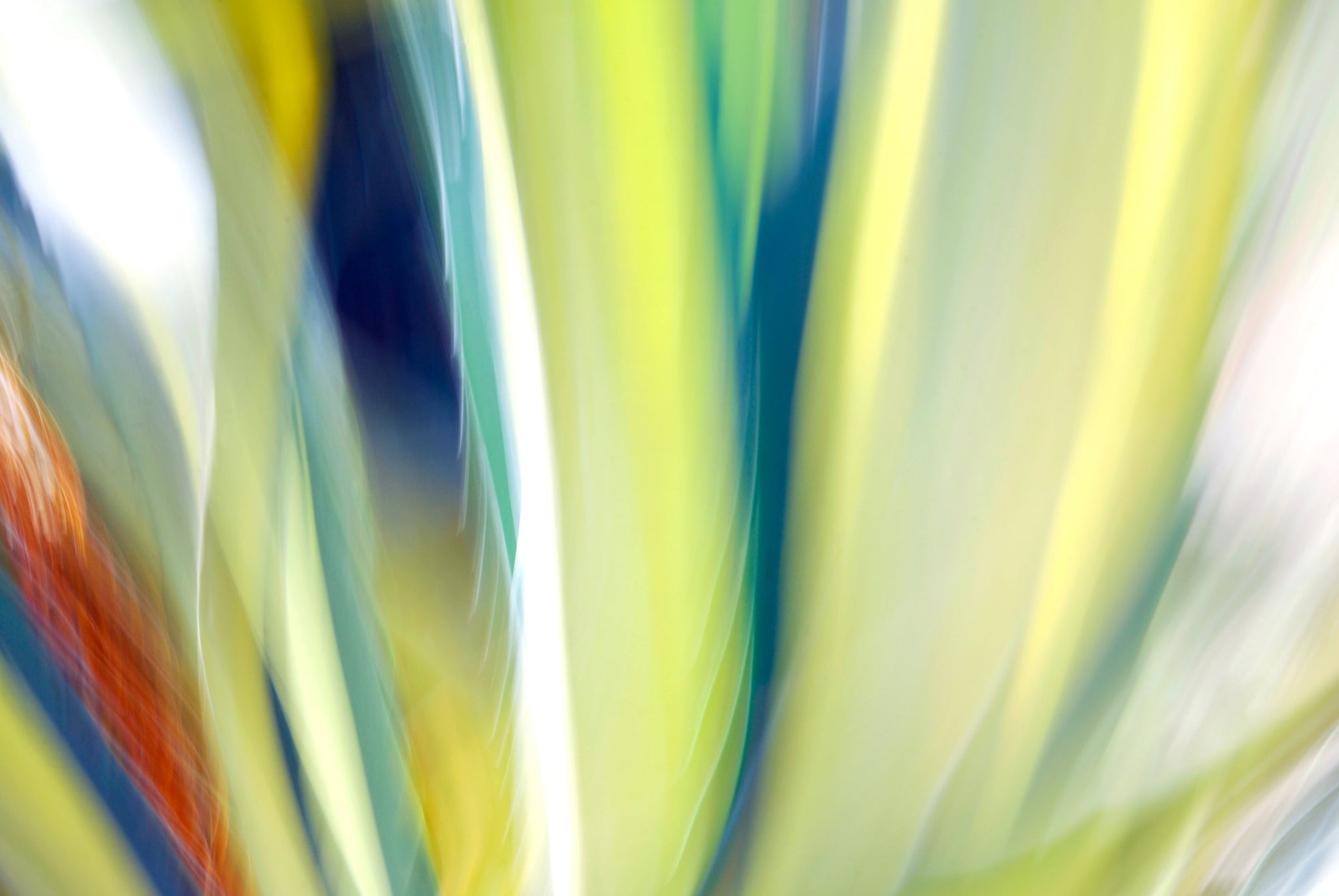Static and Motion, 2009-10-10-0161