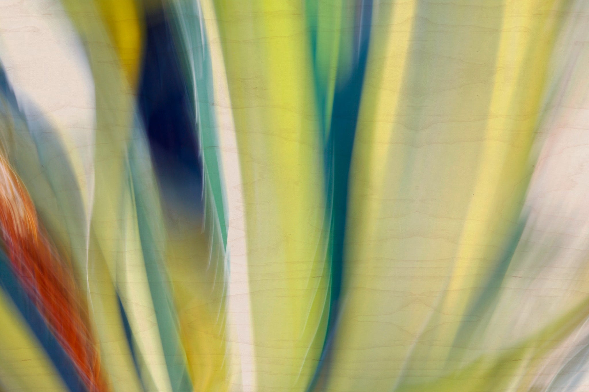 Static and Motion, 2009-10-10-0161