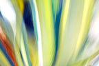 Static and Motion, 2009-10-10-0161