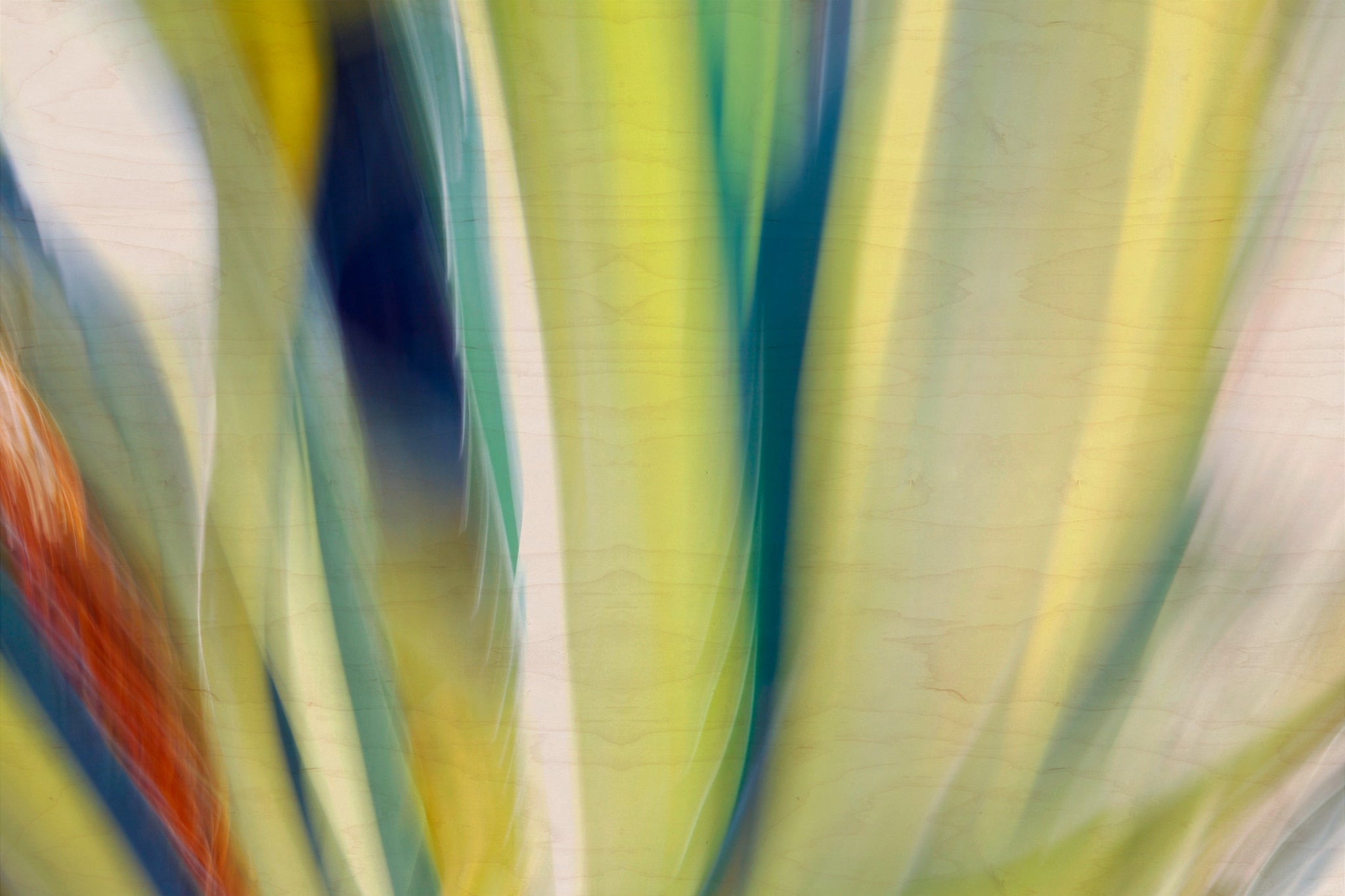 Static and Motion, 2009-10-10-0161