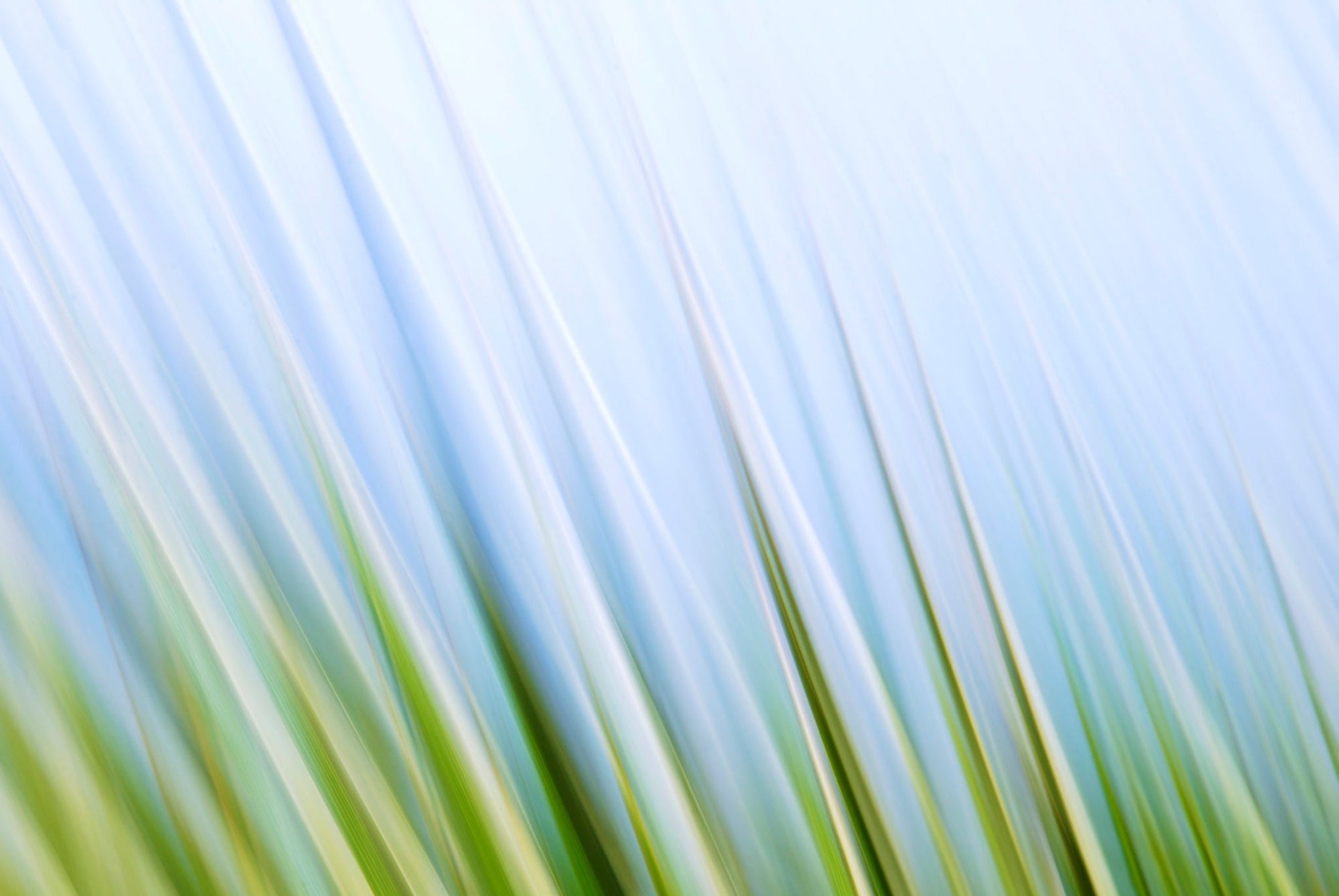 Static and Motion, 2009-10-10-0184
