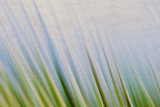 Static and Motion, 2009-10-10-0184